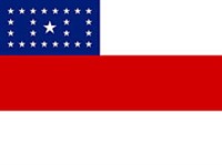 АМАЗОНАС (флаг)