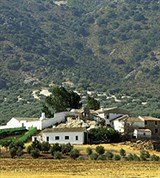 Андалусия (сельская местность)