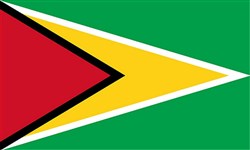 Гайана (флаг)