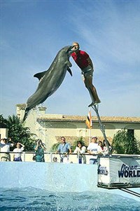 ДЕЛЬФИНАРИЙ (прыжок дельфина)