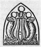 Змея 2 (символ)