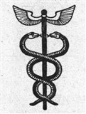 Змея 5 (символ)