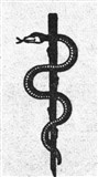 Змея 6 (символ)