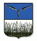 Камышин (герб города)