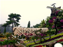 Летние Олимпийские игры в Пекине 2008 (Олимпийский парк)