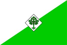 Льорет-де-Мар (флаг)