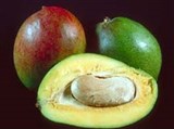 Манго (плод в разрезе)