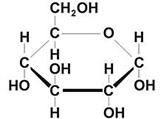 Моносахариды (D-глюкопираноза)