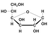 Моносахариды (D-глюкофураноза)