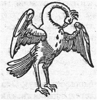 Пеликан 2 (символ)