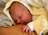 Первое кормление новорожденного (кормление)