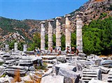 Приена (храм Афины)