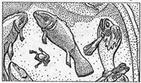Рыба в христианской символике 3 (символ)