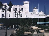 Тунис (город) (здание правительства)