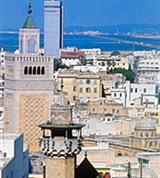 Тунис (город) (панорама)