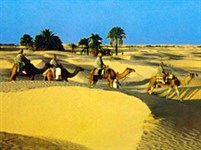 Тунисская Сахара (караван)