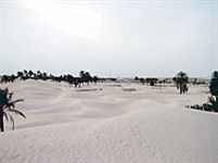 Тунисская Сахара