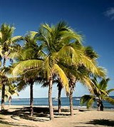 Фиджи (пляж)