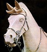 Цинь Шихуанди (голова коня)