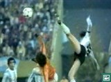 Чемпионат мира по футболу (1978) (видео — финал) [спорт]