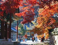 Корея (фотоальбом)