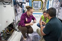 Серова Елена Олеговна (2013)