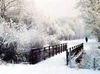 Абакан (зима)