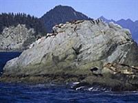 Аляска (Национальный парк «Кенайские фьорды»)