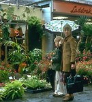 Амстердам (цветочный рынок)