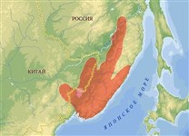 Амурский тигр (ареал)