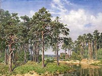 Андрияка Сергей Николаевич («Сосны»)