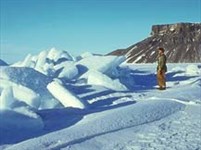 Антарктида (прибрежный лед)