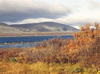 Архангельская область (Пинега)