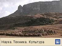 Африка (праздник, видео)