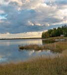 Байкал (заросший берег)