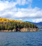 Байкал (прибрежный лес)