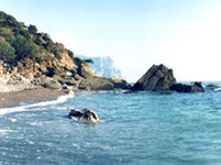 Балаклава (побережье)