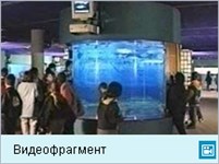 Барселонский аквариум (видеофрагмент)
