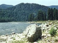 Бия (берег реки в верховьях)