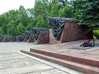 Брянская область (Партизанский костер)