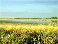 Бургенланд (Нойзидлер-Зее)