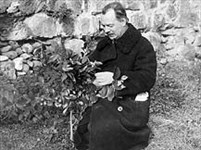 Вавилов Николай Иванович (1936)