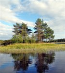 Валаамские острова (на островке)