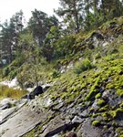 Валаамские острова (скалистая гряда)