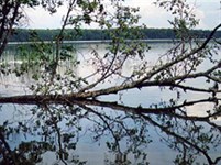 Валдай (вид на озеро)