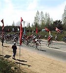 Велосипедный спорт (гонки по шоссе)