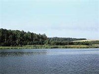 Волга (в окрестностях Костромы)