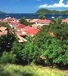 Гваделупа (Порт-Таун)