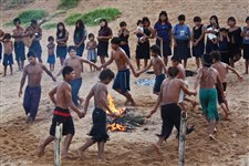 Гуарани (метисы)