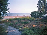 Гудаута (побережье)